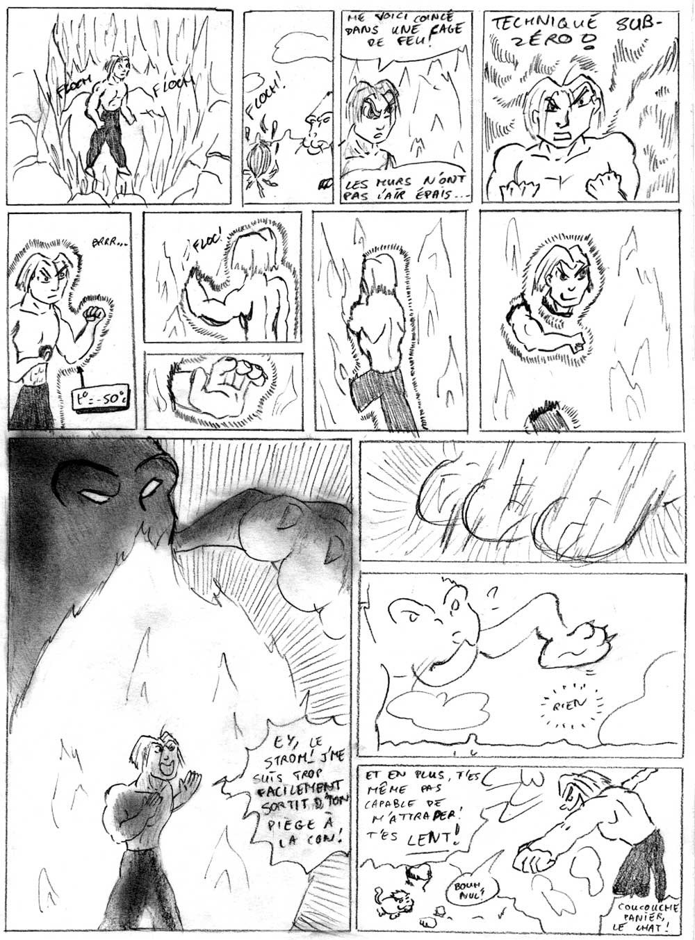 Page 207 du CED
