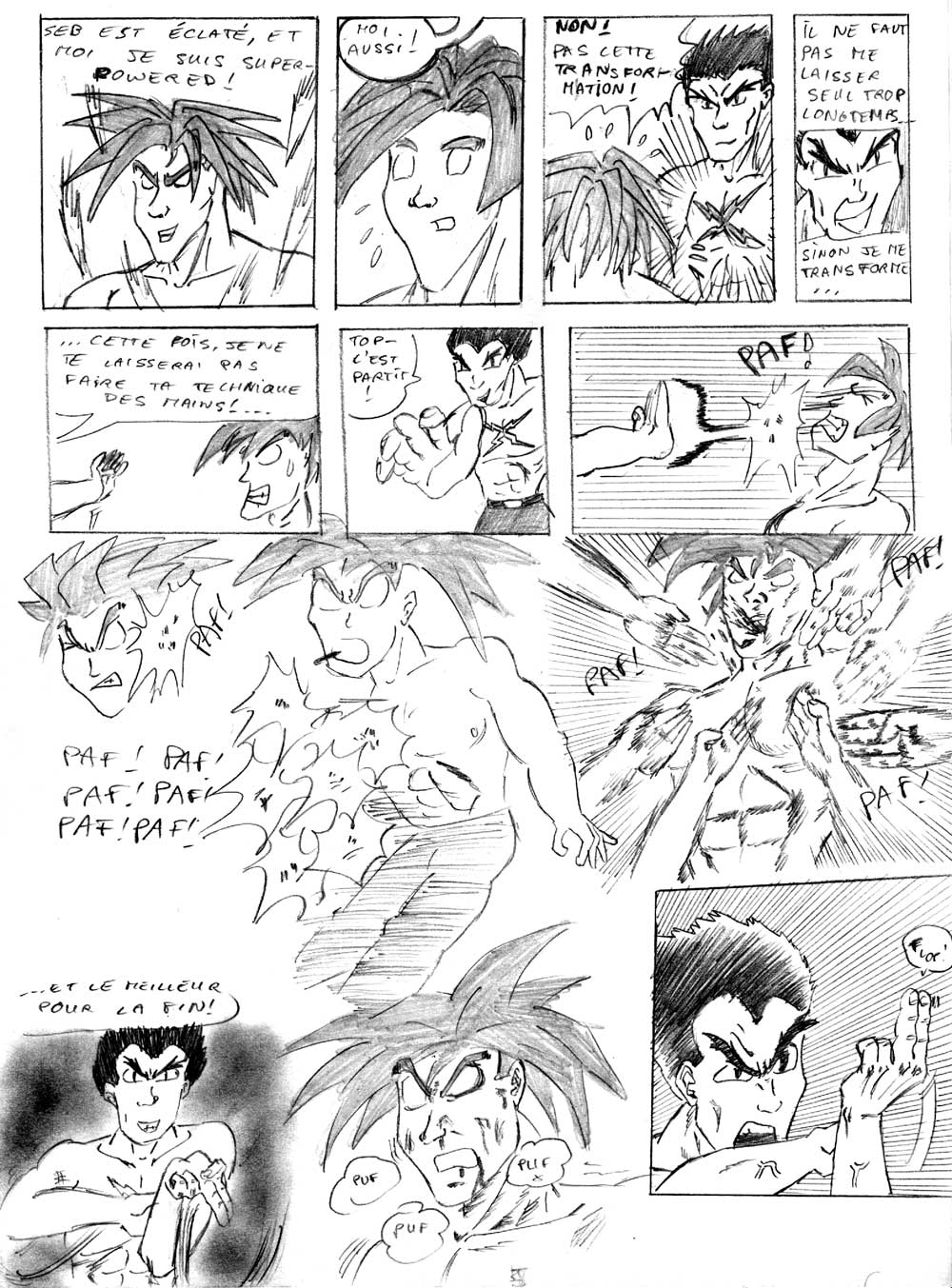 Page 223 du CED