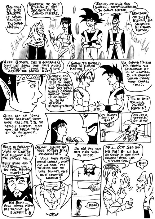 Page 213 du CED
